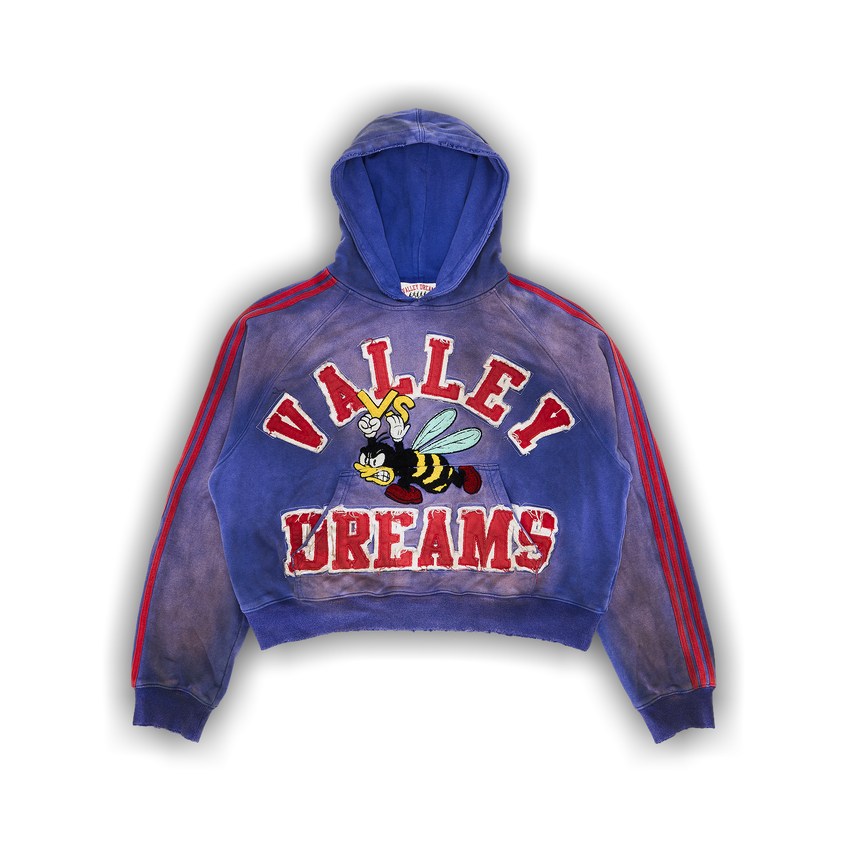 Vale Dreams Bee Blue/Red hoodie SET