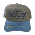 Luxury San Diego Gray