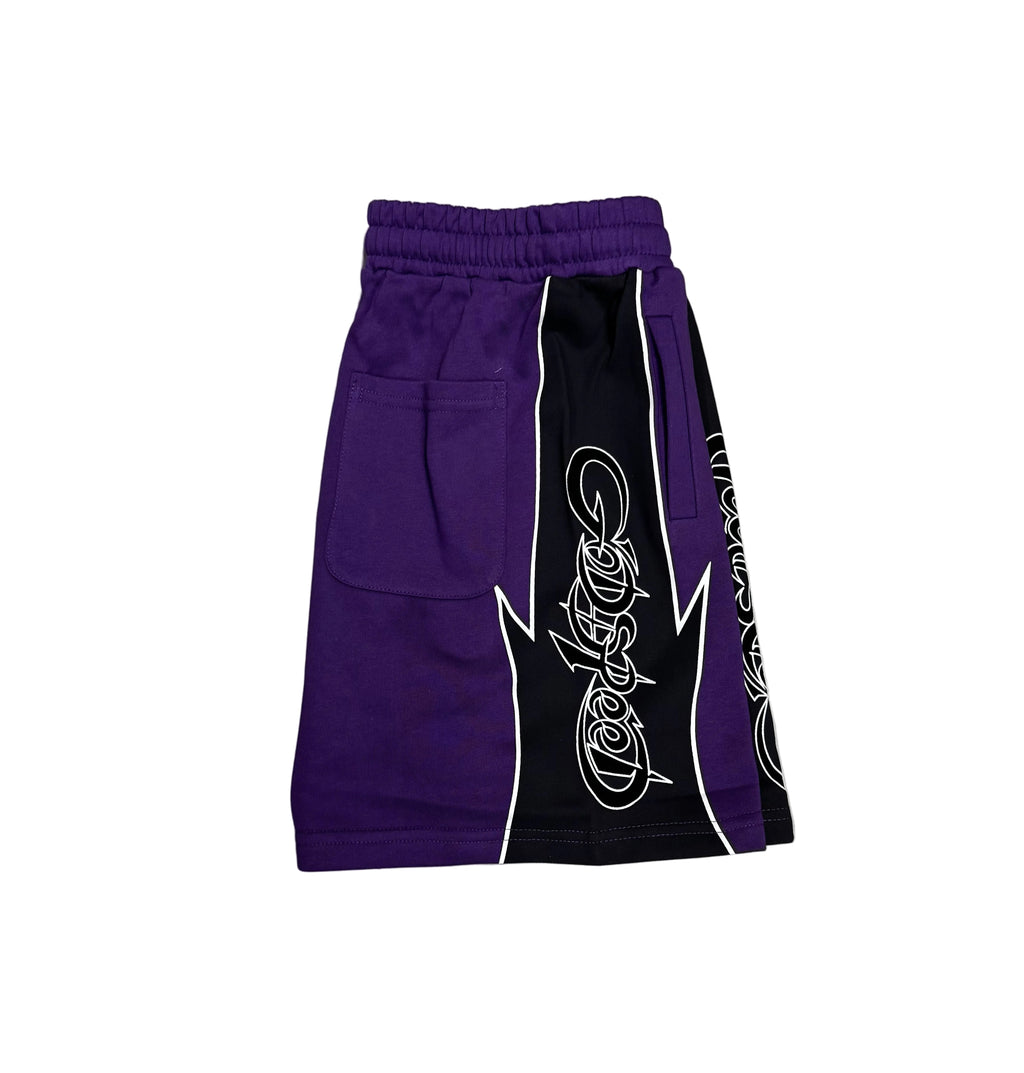Godspeed Shorts PURPLE