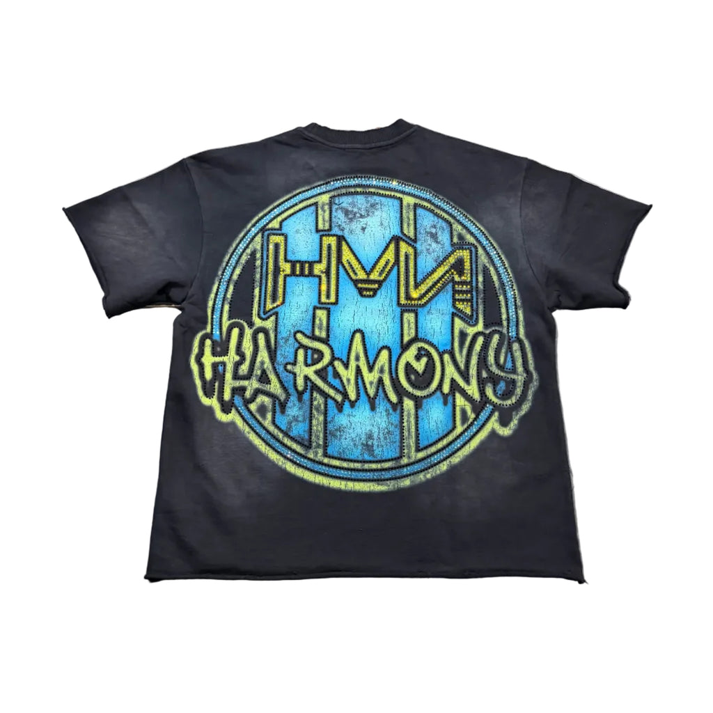 Harmony Dog Football