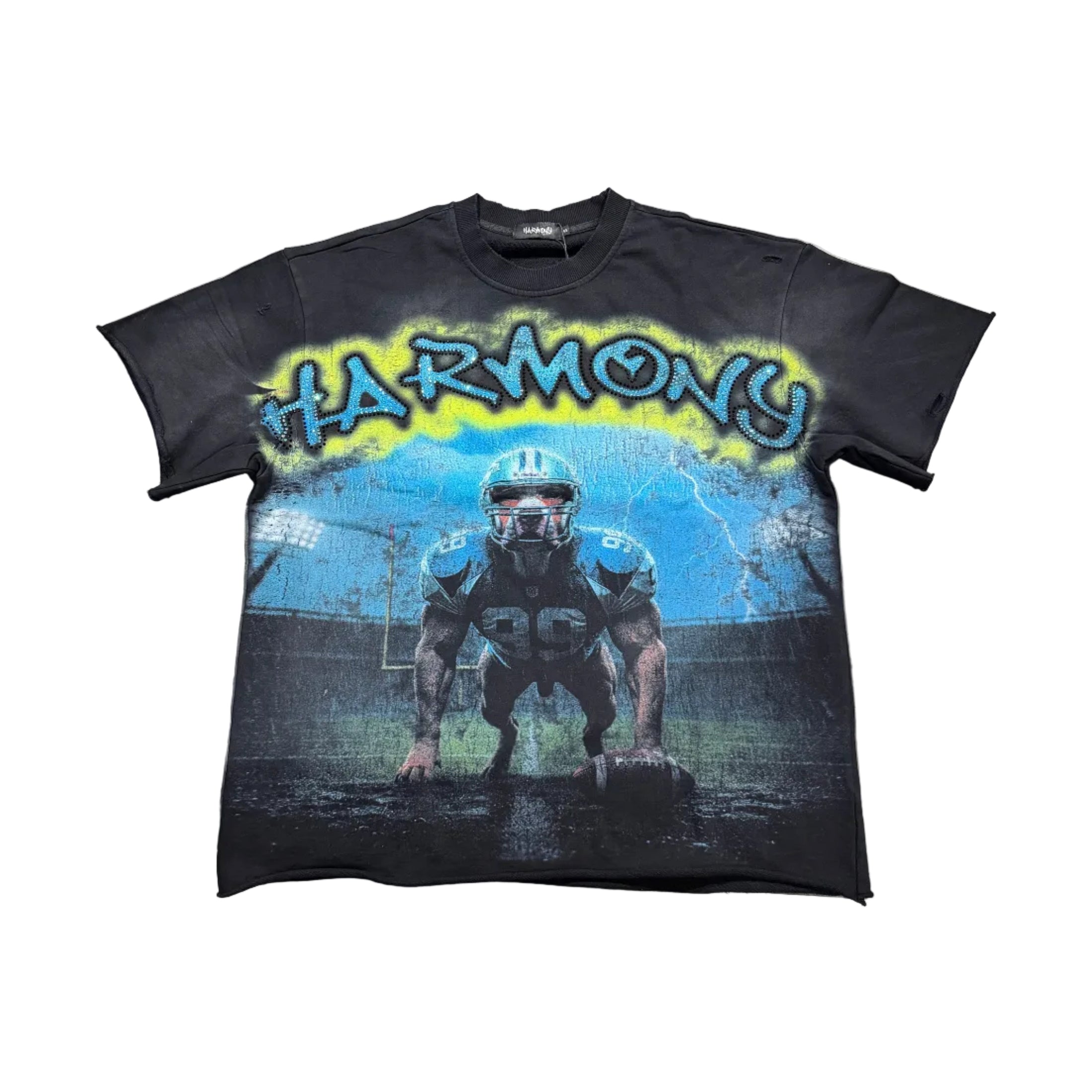 Harmony Dog Football