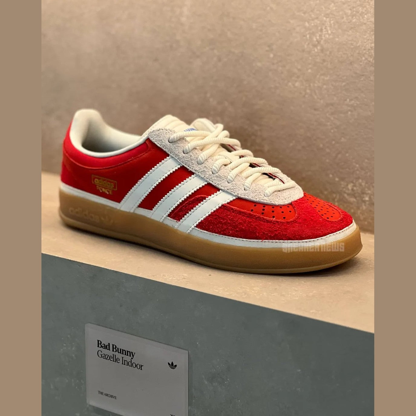 BAD BUNNY X GAZELLE INDOOR 'PONCE'