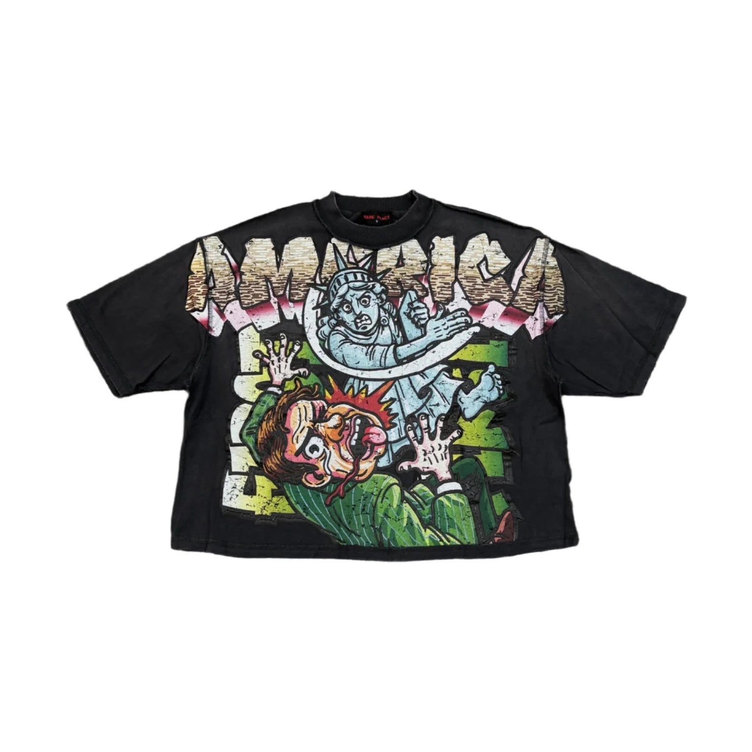 RARE PEACE America Graphic Crop Tee
