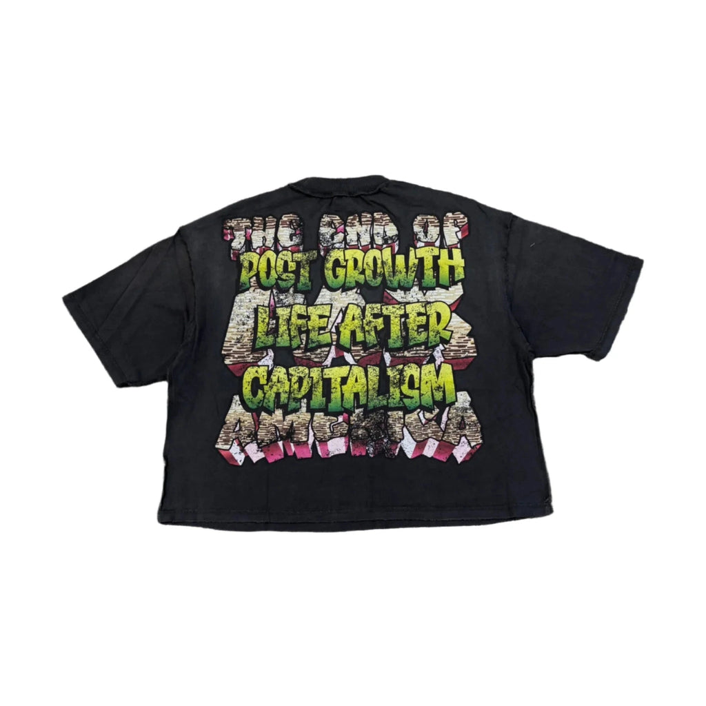 RARE PEACE America Graphic Crop Tee