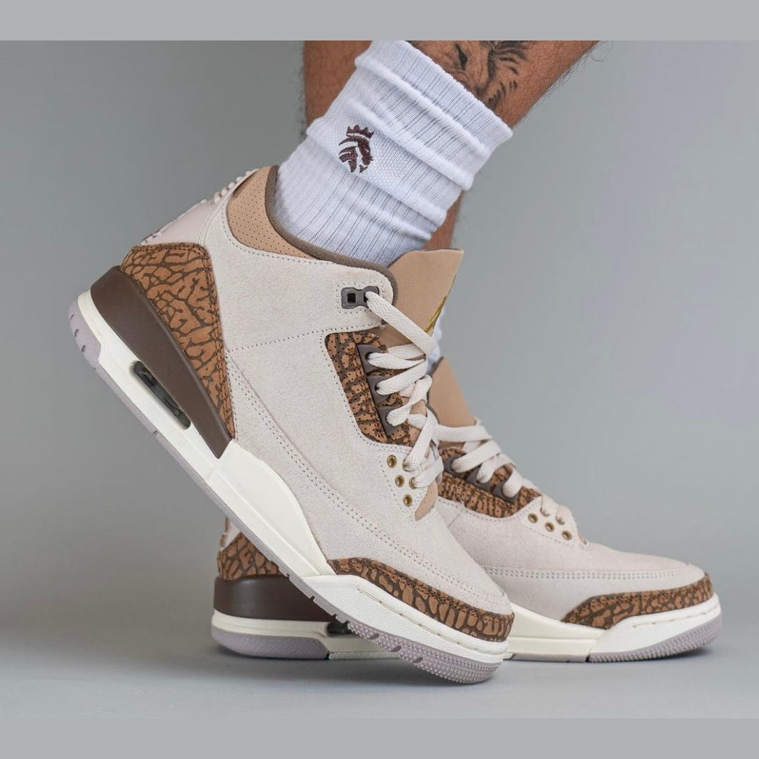 Air Jordan 3 “Palomino”